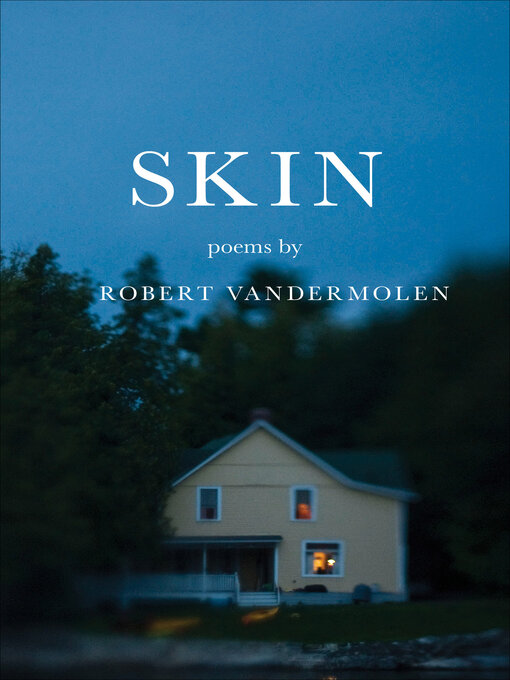 Cover image for Skin